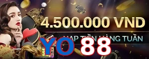 YO88