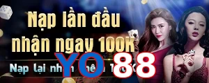 YO88
